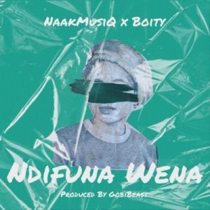 NaakMusiQ Ndifuna Wena Mp3 Download