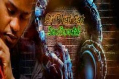 DJ Phat Cat – Sentimental (Radio Edit) Mp3 Download