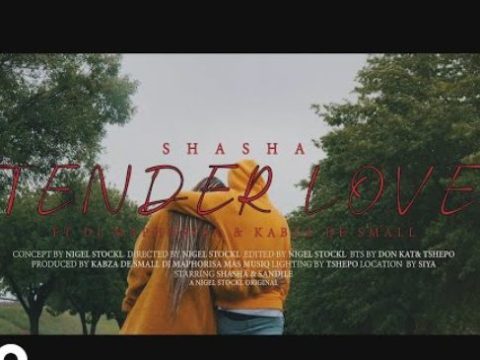 VIDEO: Sha Sha – Tender Love Ft. Kabza De Small & DJ Maphorisa