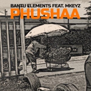 Bantu Elements - Pushaa Ft Mkeyz - Image MP3 DOWNLOAD