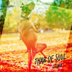 Thab De Soul – Izinja (Original Mix)