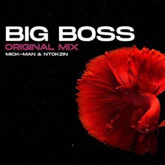Mick-Man & Ntokzin – Big Boss