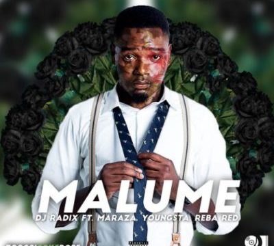 DJ Radix – Malume ft. Maraza, YoungstaCPT & Reba Red