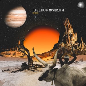 TSOS & DJ Jim Mastershine - Sekgoba (Original Mix)