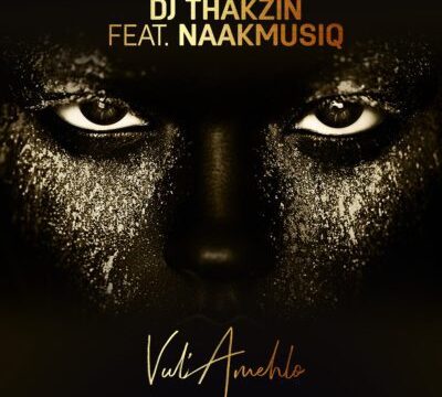 MP3: DJ Thakzin – Vul’Amehlo ft. NaakMusiQ