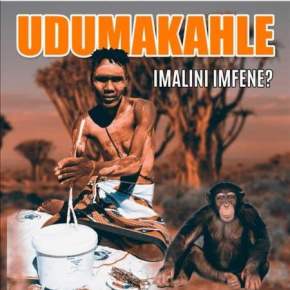 EP: Dumakahle – Imalini Imfene