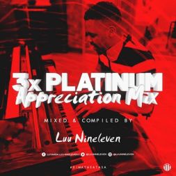 Luu Nineleven – 3x Platinum Appreciation Mix
