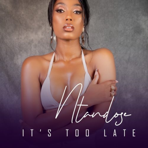 Ntandose - It's Too Late ft. Liza Miro