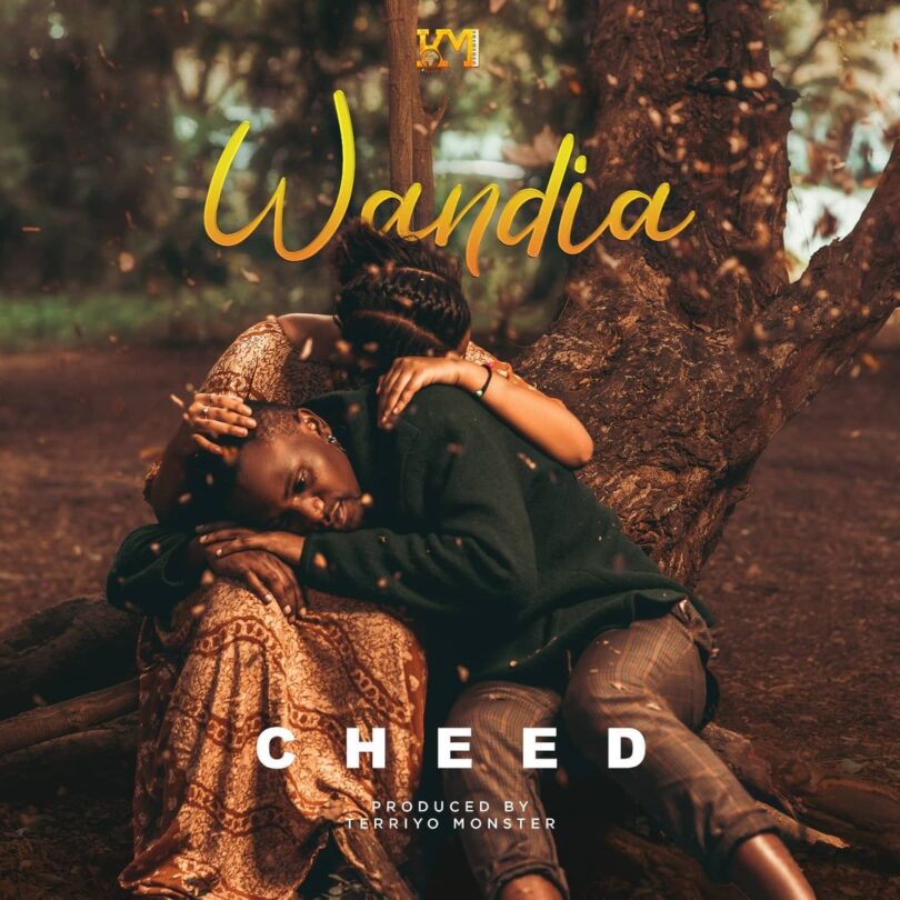 AUDIO Cheed - Wandia MP3 DOWNLOAD