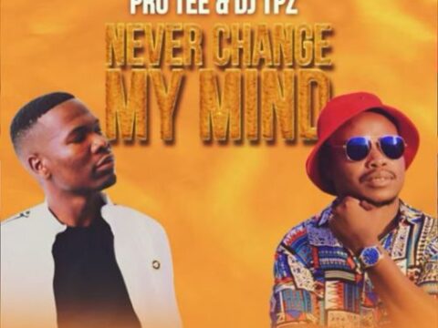 Pro-Tee & DJ TPZ - Never Change (Original-Mix)
