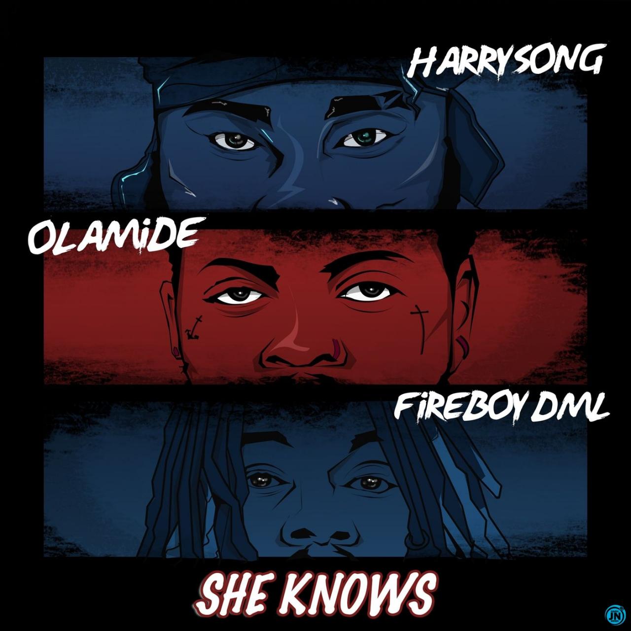 Harrysong – She Knows ft. Fireboy DML & Olamide